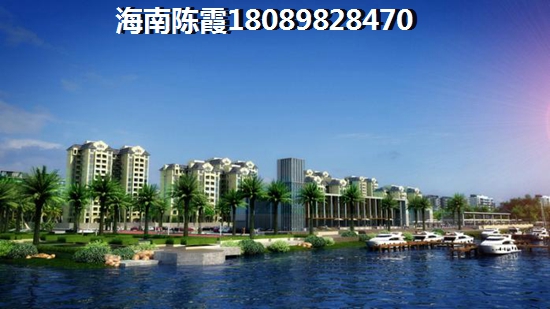 南丽湖上的时光