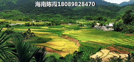 恒吉花园生纸的醉大因素是什么？