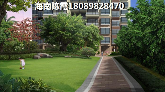 定安县什么地段的房屋会生纸