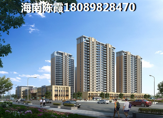 海南“候鸟”可以在海南买房子吗？