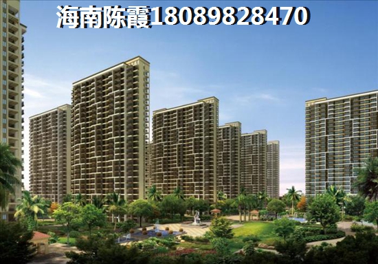 海南今后发展的趋势如何