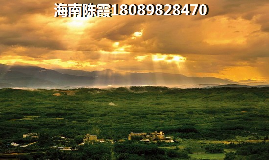 紫竹新苑地址