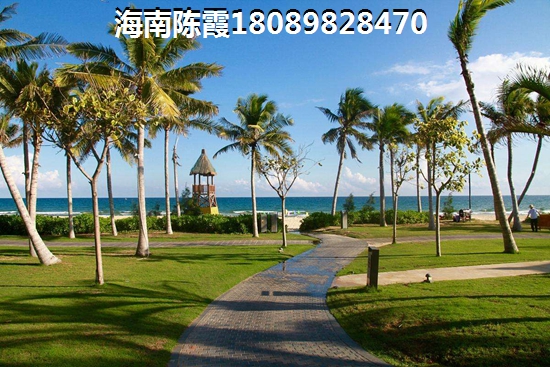 贸易有限公司免费取名