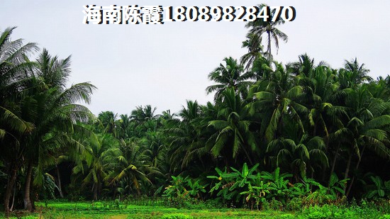 碧桂园十里繁花买房贷款合算吗？