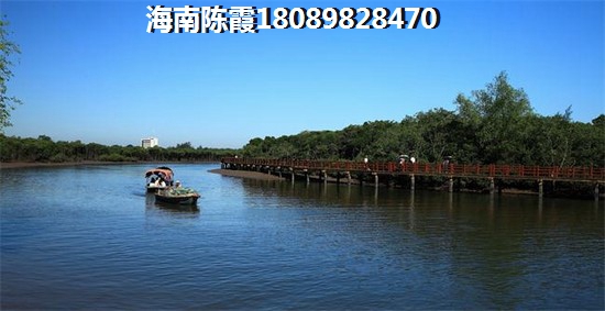 《钱修轩：网络热议的焦点人物》