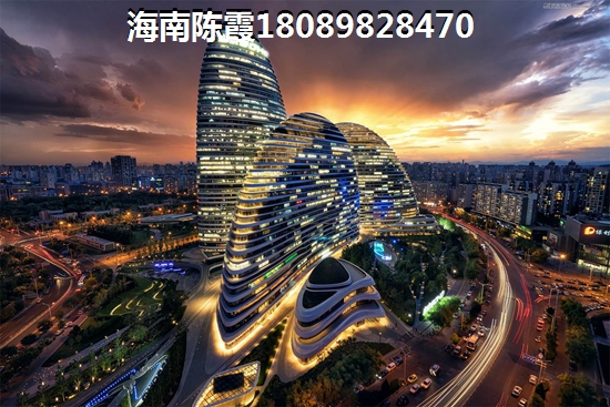 赵金晶个人简历