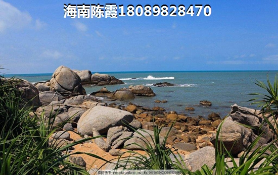 中国十大免费电影网站